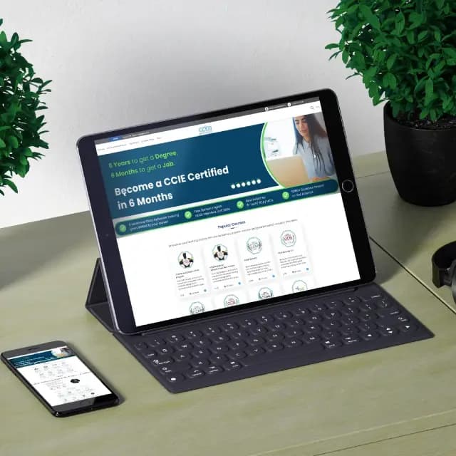 Portfolio Image 3