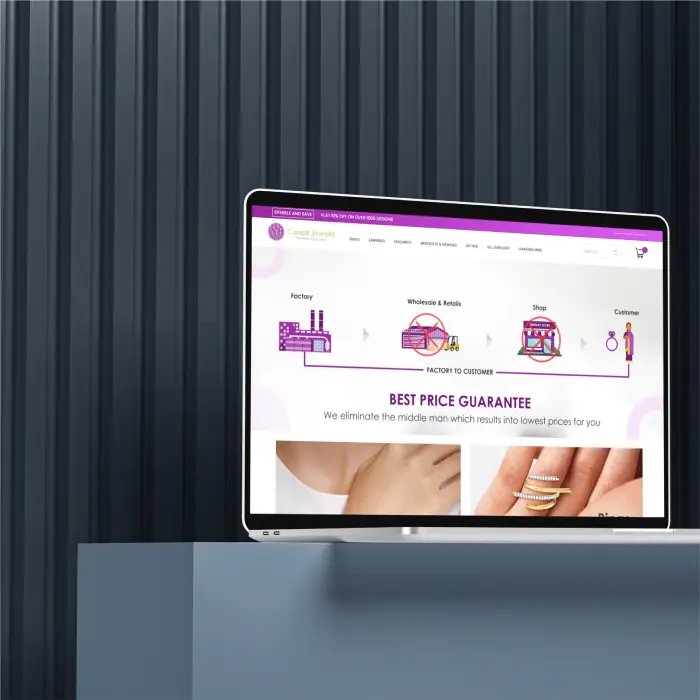 Portfolio Image 4